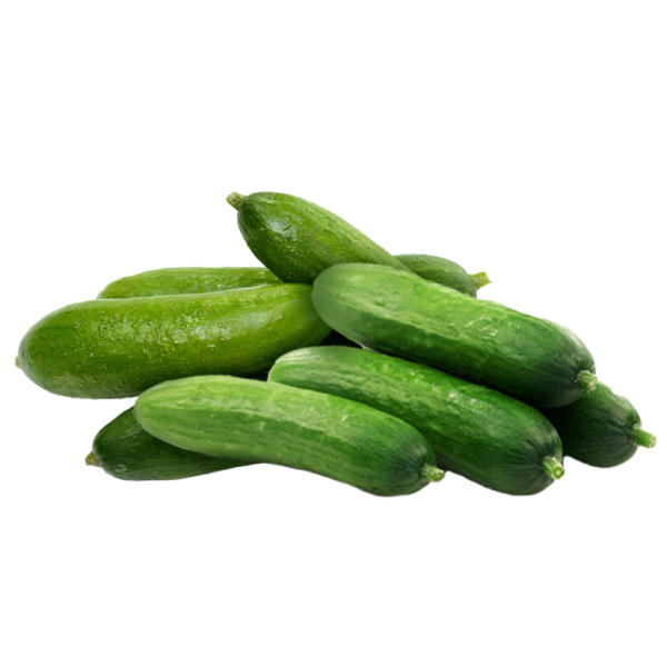 salatalık 1 kg